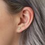 Sterling Silver Crystal Star Stud Earrings, thumbnail 1 of 6