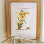 E Is For Evening Primrose Illuminated Botanical Print, thumbnail 4 of 5