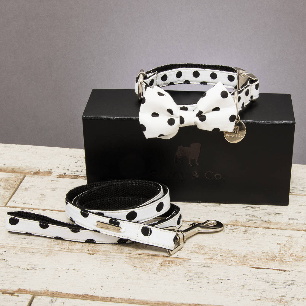 The Mayfair Spotted Dog Collar Bow Tie And Lead Set, 1 of 6