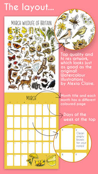 2027 British Wildlife Wall Calendar, 6 of 9