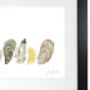 Oyster Limited Edition Giclée Print | Hand Drawn Seafood Illustration, thumbnail 2 of 3