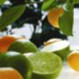 Lime, Basil And Mandarin Wax Melt Snap Bar, thumbnail 2 of 3