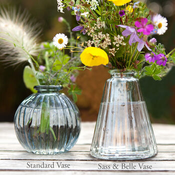 Grow Your Own Wildflower Bouquet And Vase Gift Set, 2 of 12