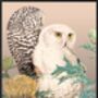 Owls Vanilla Fly Poster 30 X 40cm, thumbnail 3 of 4