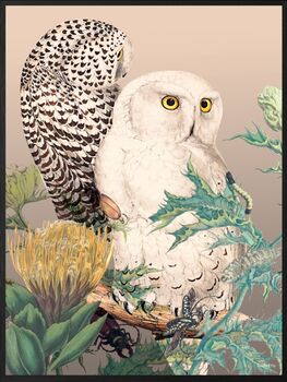 Owls Vanilla Fly Poster 30 X 40cm, 3 of 4