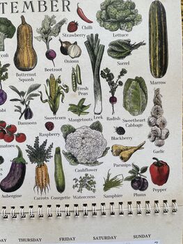 2025 Calendar UK Seasonal Fruit And Vegetable Calendar, 6 of 12