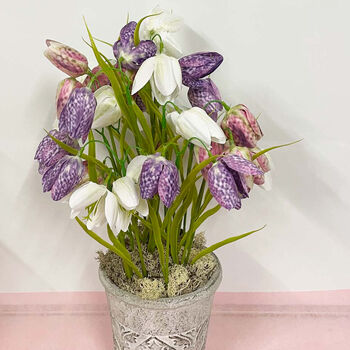 Faux Snakeshead Fritillaria Potted Plant, 2 of 2