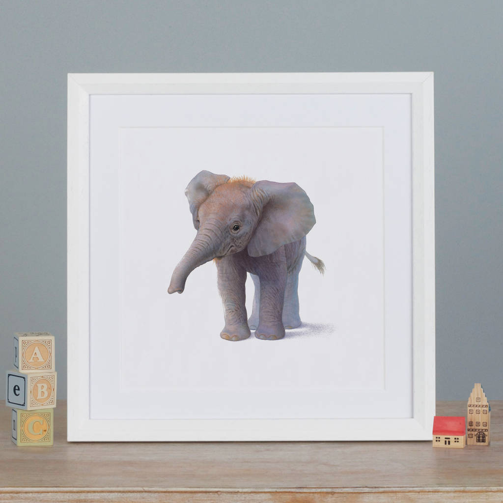 elephant print sb