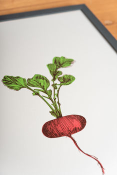Red Radish Vegetable Wall Art, 4 of 4