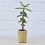 Sustainable Concrete Mini Vessel Planter Cylindrical, thumbnail 6 of 12