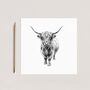 Hand Drawn “Major” Highland Coo Greeting Card Illustration, thumbnail 2 of 6