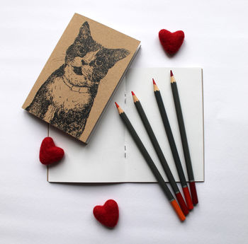 A6 Cat Lovers Notebook Pocket Sized Notebook, 6 of 9