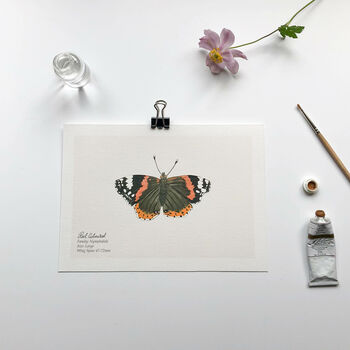 Set Of Butterfly A5 Giclée Art Prints, 2 of 11