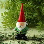 Glass Garden Gnome In Gift Boxed, thumbnail 1 of 4