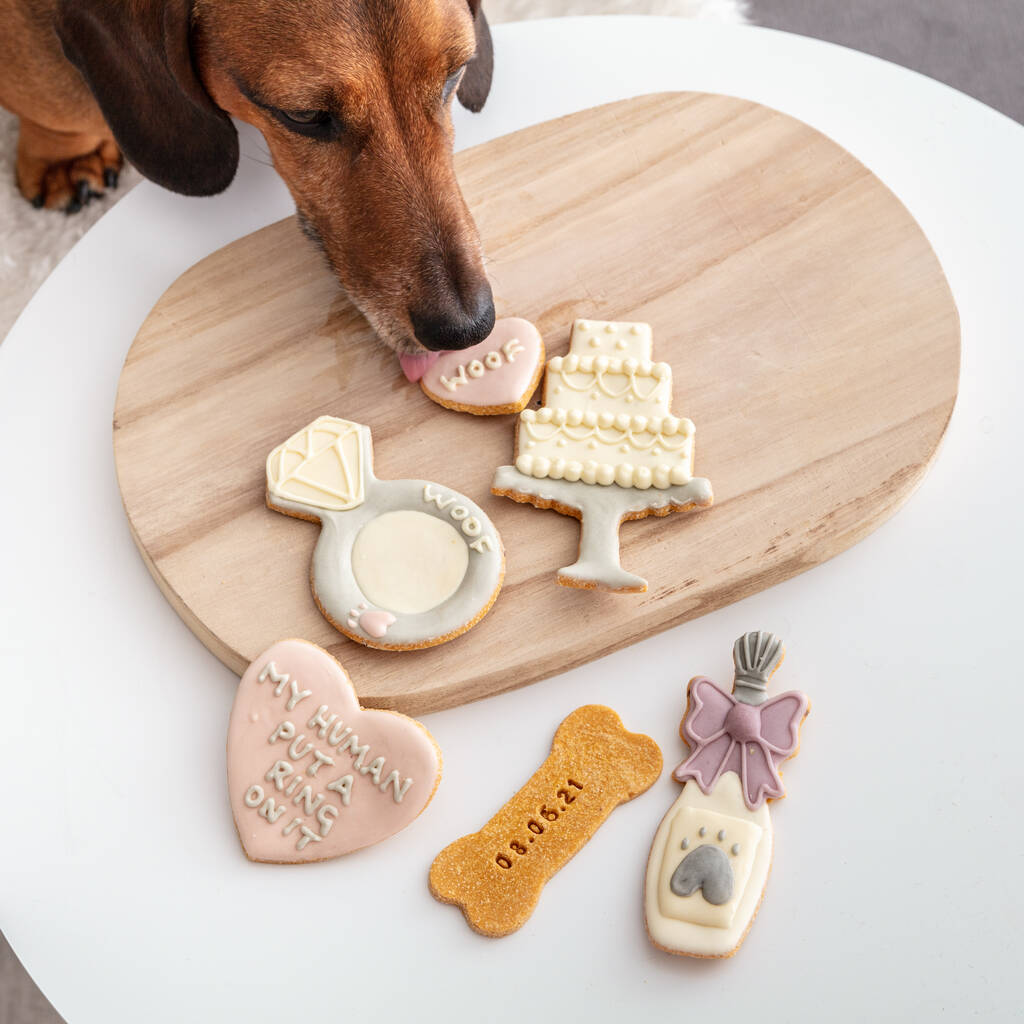 My Human Put A Ring On It Wedding Iced Dog Biscuit Set, 1 of 2
