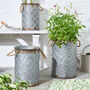 Set Of Three Quilted Effect Metal Bucket Planters, thumbnail 1 of 7