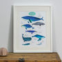 Wonderful Whales Of The World Illustration Print, thumbnail 1 of 3