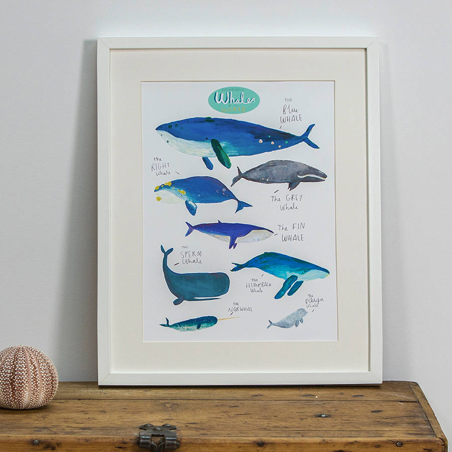 Wonderful Whales Of The World Illustration Print, 1 of 3