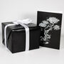 Japanese Maple Bonsai Tree Growing Kit, thumbnail 7 of 10