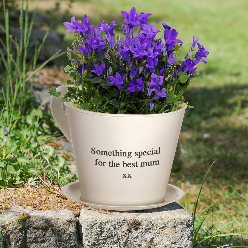 Personalised Cream Tea Cup Planter Gift, 1 of 6