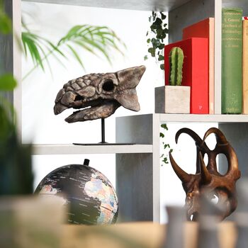 Large Hand Painted Anklyosaurus Skull Dinosaur Sculpture – Museum Quality 3D Resin Fossil Model On Black Metal Stand, Statement Home Decor, 2 of 4