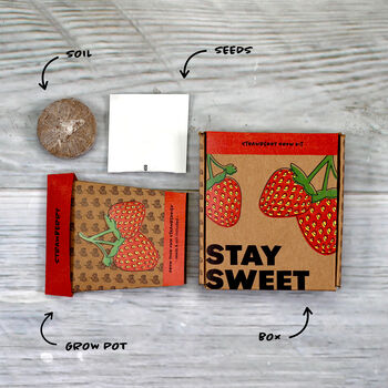 Stay Sweet Strawberry Grow Pot Kit, 2 of 9