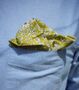 Dancys Mens Lime Yellow Floral Pocket Square, thumbnail 1 of 4