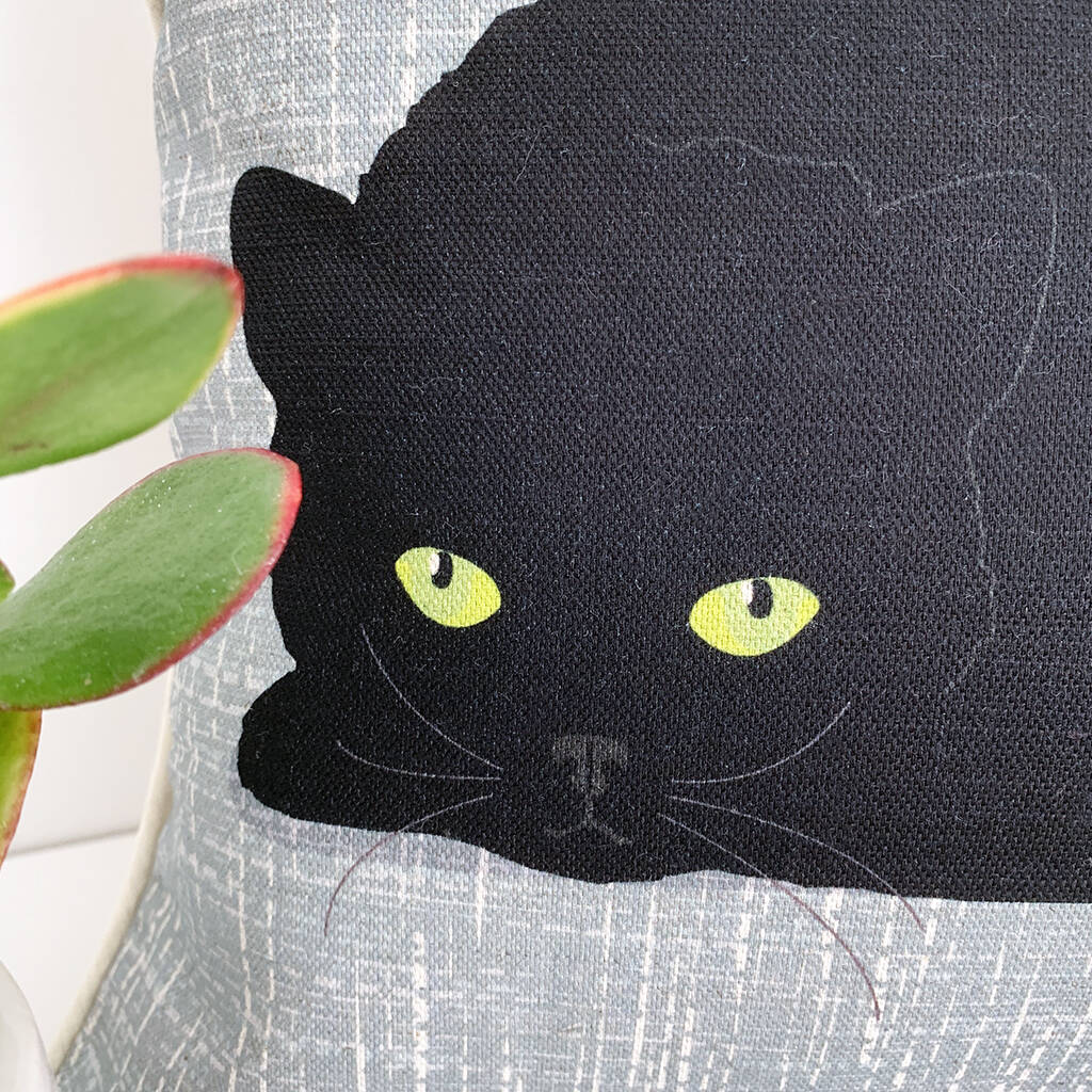 cat themed cushions