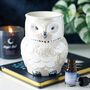 Owl Shaped Iridescent Oil Burner And Wax Warmer, thumbnail 1 of 2