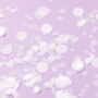White Wedding Confetti | Biodegradable Paper Confetti, thumbnail 1 of 5