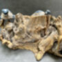 Set Of Three Swimming Turtles On Driftwood – Handmade Gift, thumbnail 7 of 11