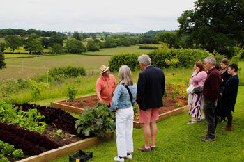 Wine And Cheese Experience Day In The Chedder Valley For Two, 5 of 8