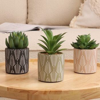 Set Of Three Artificial Succulent Plants In Pot, 3 of 8