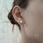 Sterling Silver Genuine Freshwater Pearl And Irregular Circle Stud Earrings, thumbnail 4 of 11
