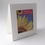 Flower Seed Garden Party And Wedding Favours, thumbnail 5 of 9