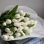 Wrapped Cut White Fresh Tulips, thumbnail 6 of 10