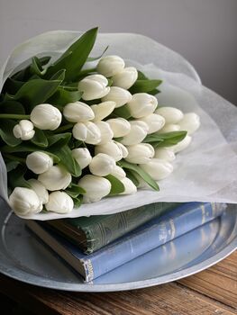 Wrapped Cut White Fresh Tulips, 6 of 10