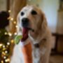 Christmas Dog Lollipops The Perfect Festive Gift, thumbnail 6 of 11