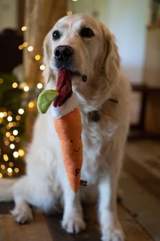 Christmas Dog Lollipops The Perfect Festive Gift, 6 of 11