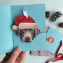 Personalised Pet Christmas Tree Decoration, thumbnail 3 of 10