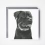 Rottweiller Dog Greeting Card, thumbnail 2 of 6