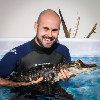 Swimming With Crocodiles Experience For Two In Bristol, 2 of 7