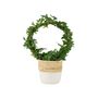 Hedera Ivy Hoop Air Purifying Houseplant In 12cm Pot, thumbnail 4 of 7