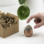 Personalised Copper Concrete Easter Egg In A Box, thumbnail 5 of 5