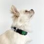 Cow Print And Green • Padded Dog Collar, thumbnail 2 of 5
