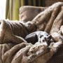 Foxy Faux Fur Pet Blanket, thumbnail 1 of 4