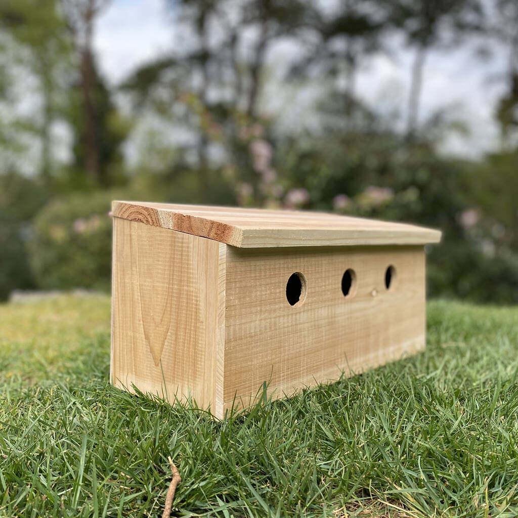 Sparrow Colony Wooden Nesting Box By Garden Selections 1729