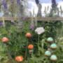 Stylish Cluster Of Five Marbles For Garden, thumbnail 9 of 10