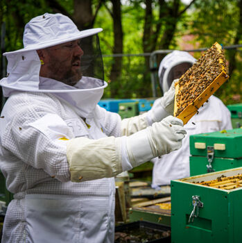 Yorkshire Beekeeping Experience, 7 of 8