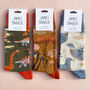 Dinosaur, Pigeons And Mushroom Unisex Socks Gift Set, thumbnail 3 of 8